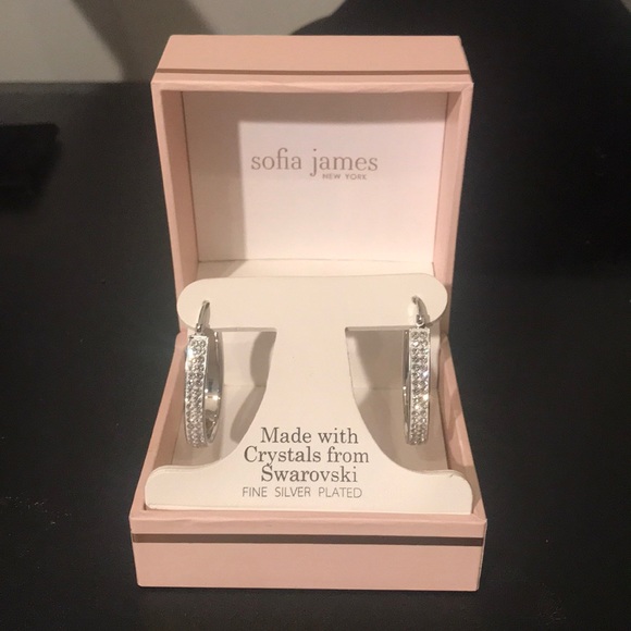 Jewelry - Large Oval Hooped earrings